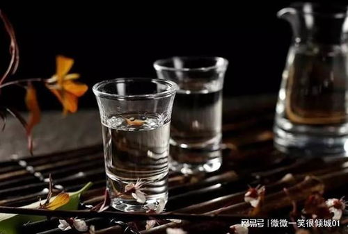 酱香酒品鉴入门指南 解锁醇香滋味的六大技巧